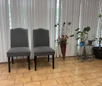 vision